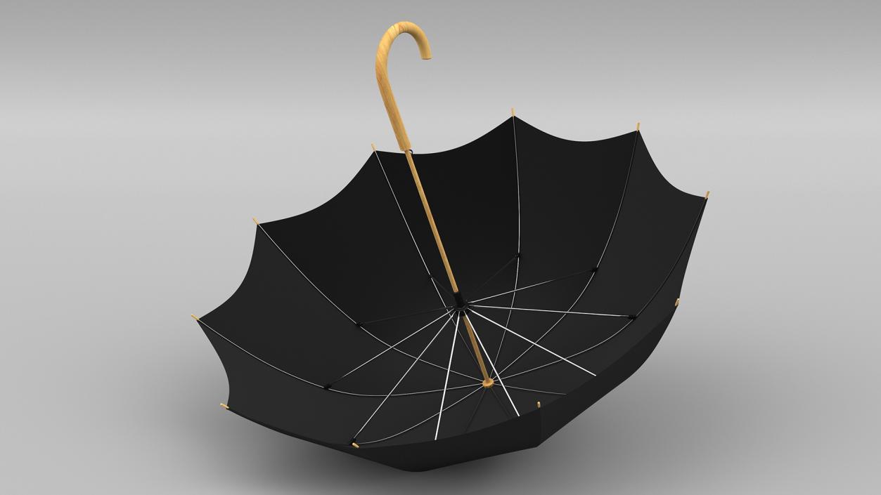 Auto Open Black Umbrella 3D model