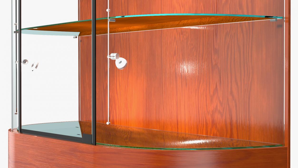 3D Curved Wall Display Cases Collection