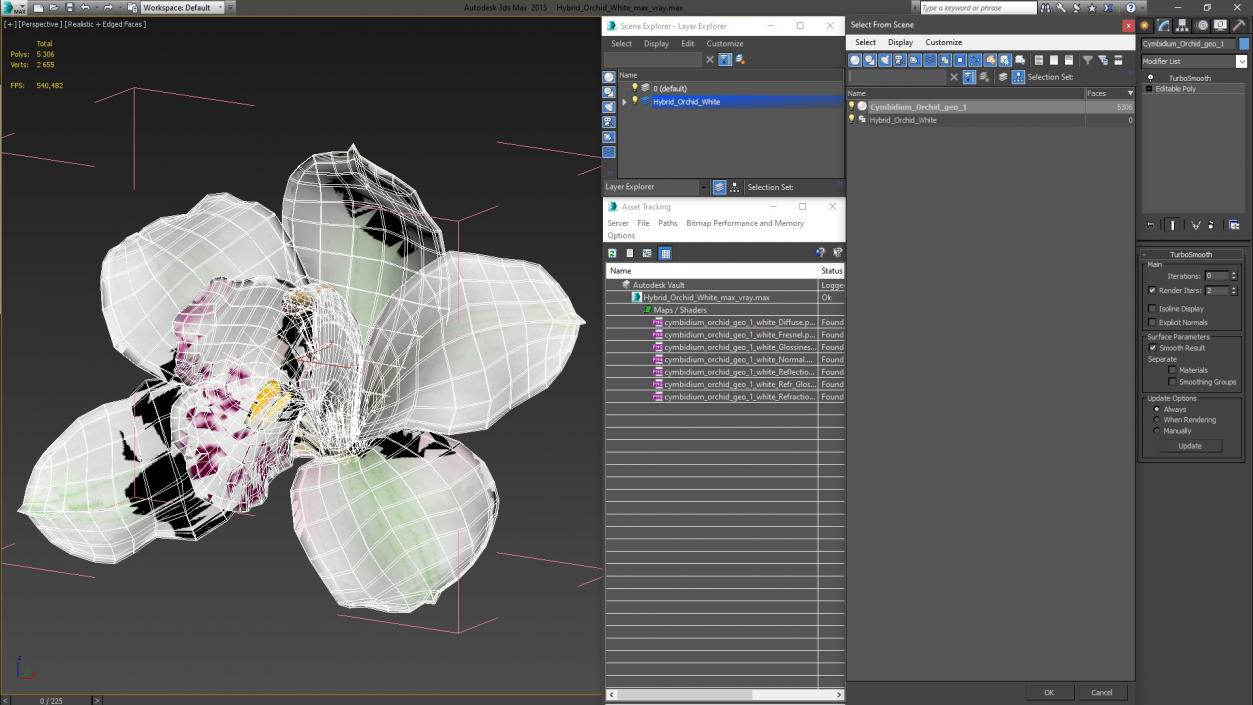 Hybrid Orchid White 3D model