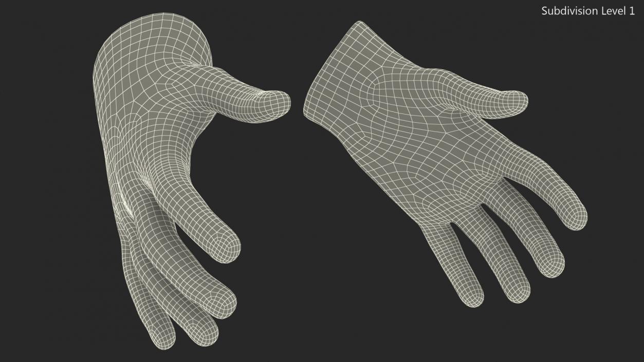 3D model Medical Protective Gloves