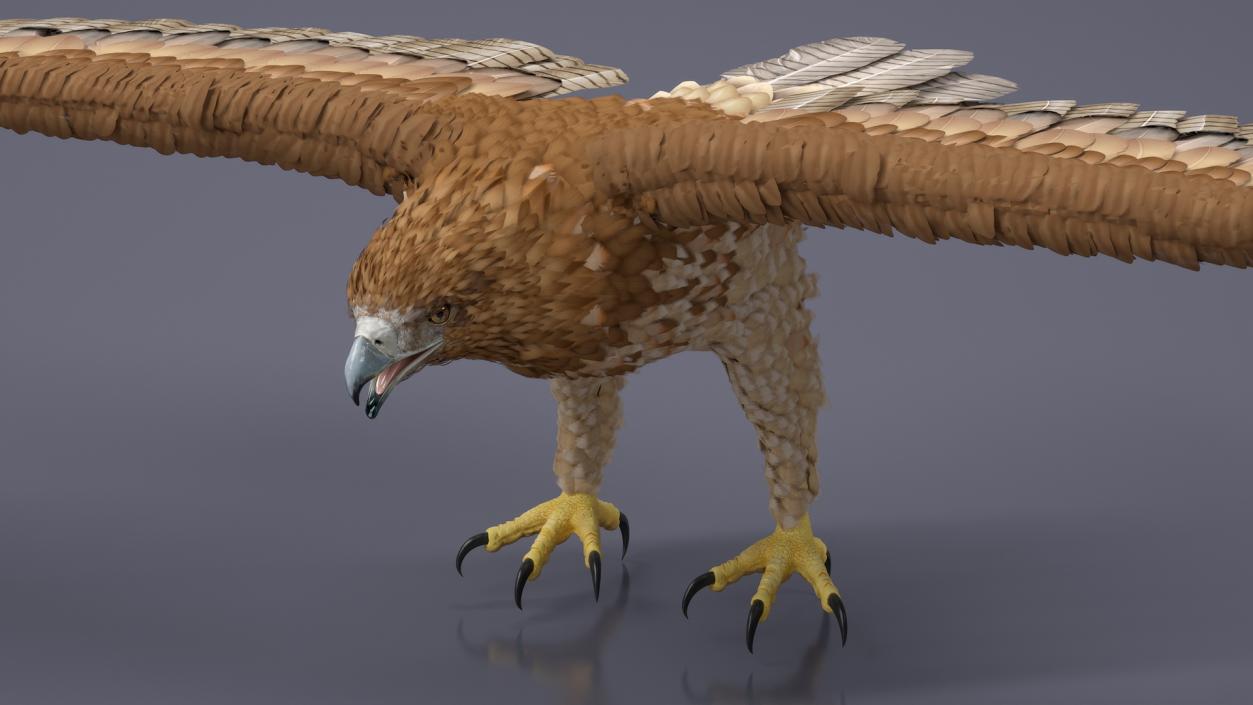 Gurney Eagle T Pose 3D model