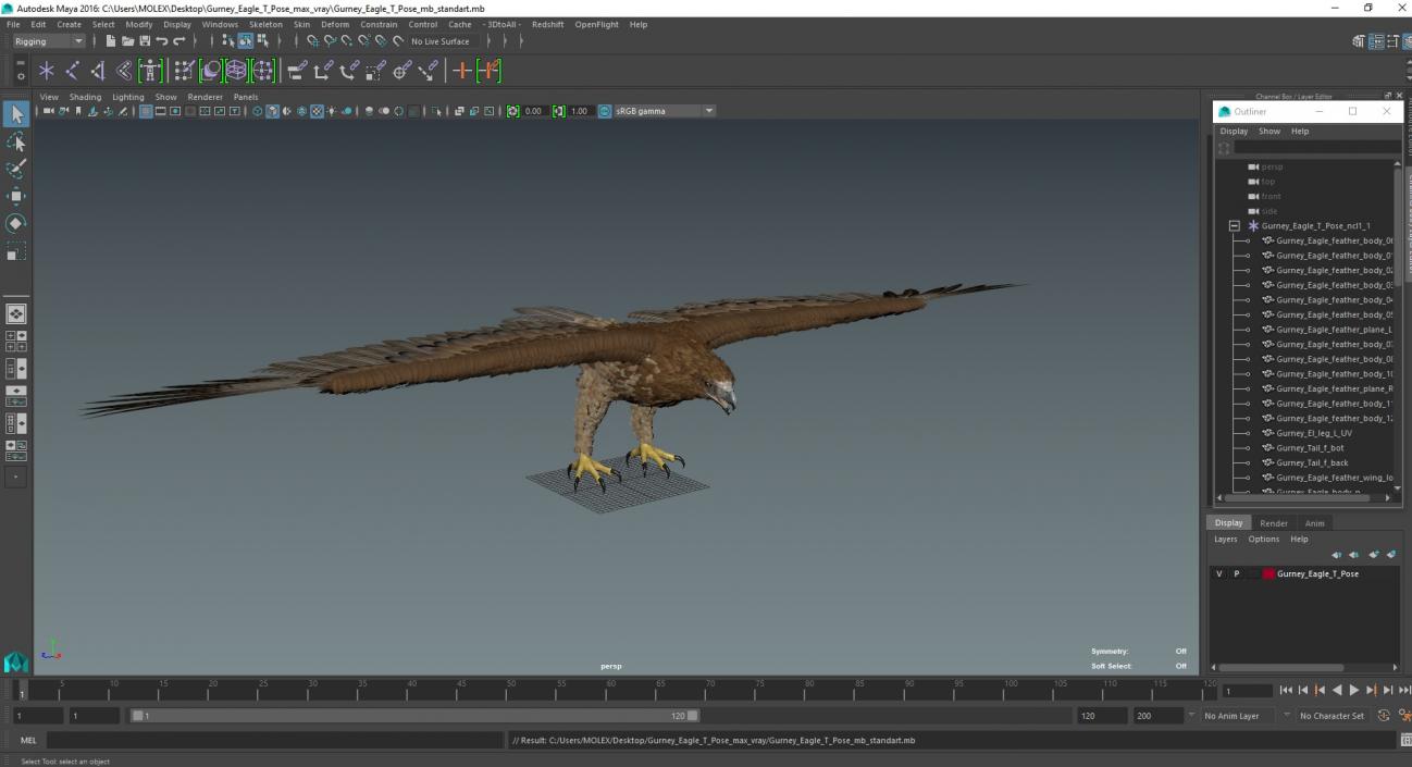 Gurney Eagle T Pose 3D model