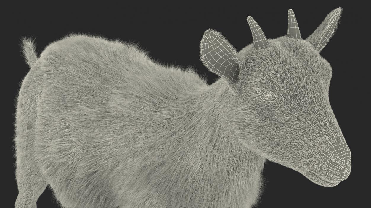 3D model Dairy Goat Brown Fur