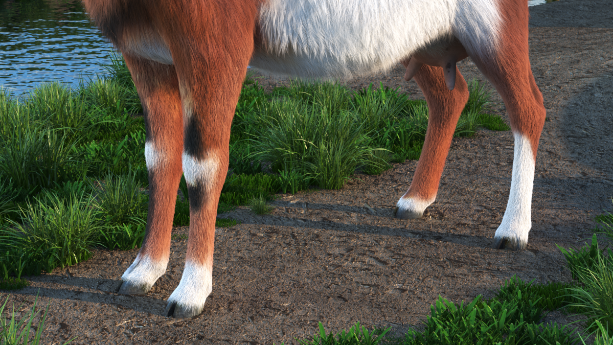 3D model Dairy Goat Brown Fur