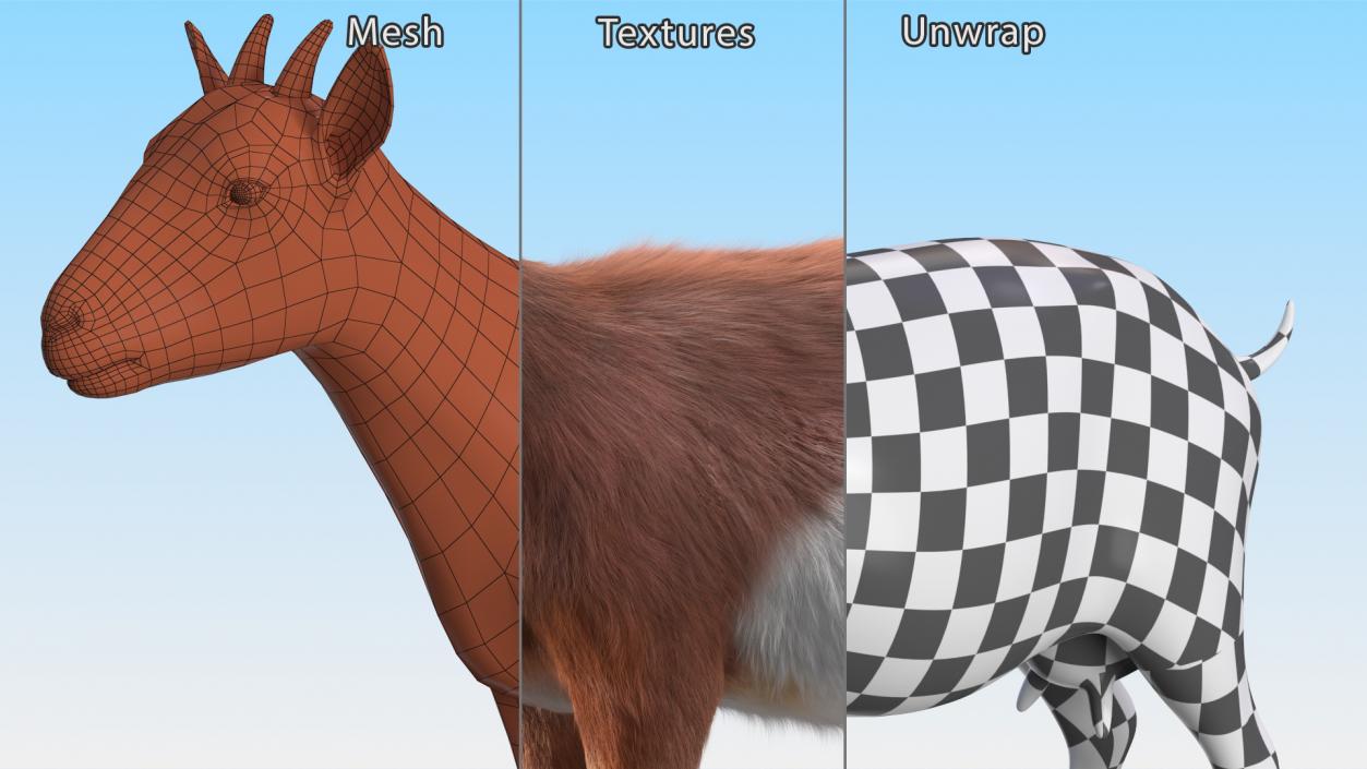 3D model Dairy Goat Brown Fur