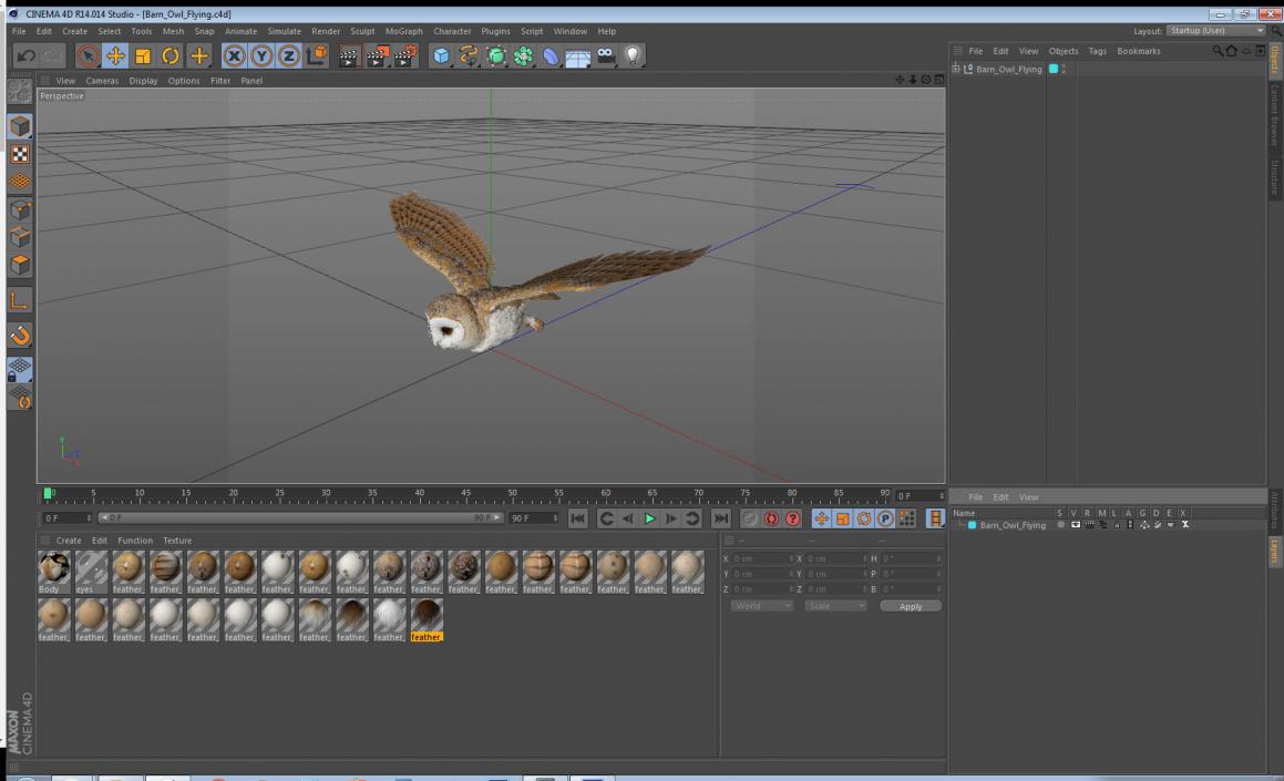 3D model Barn Owl Flying