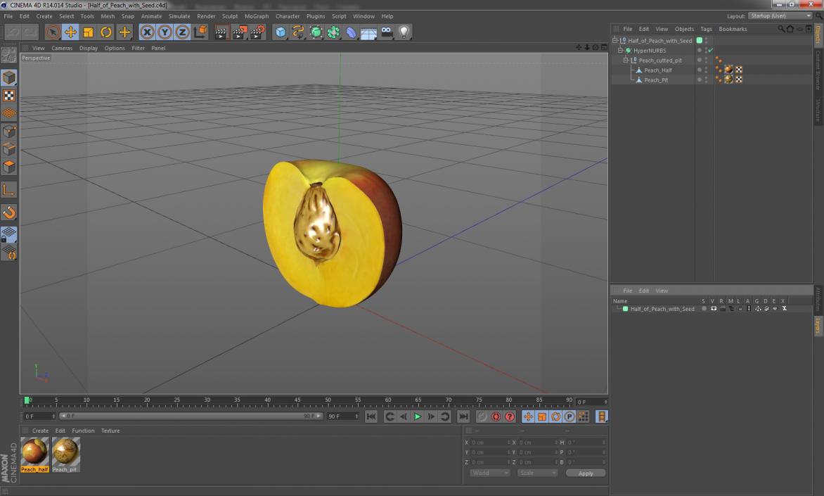 3D Half of Peach with Seed model