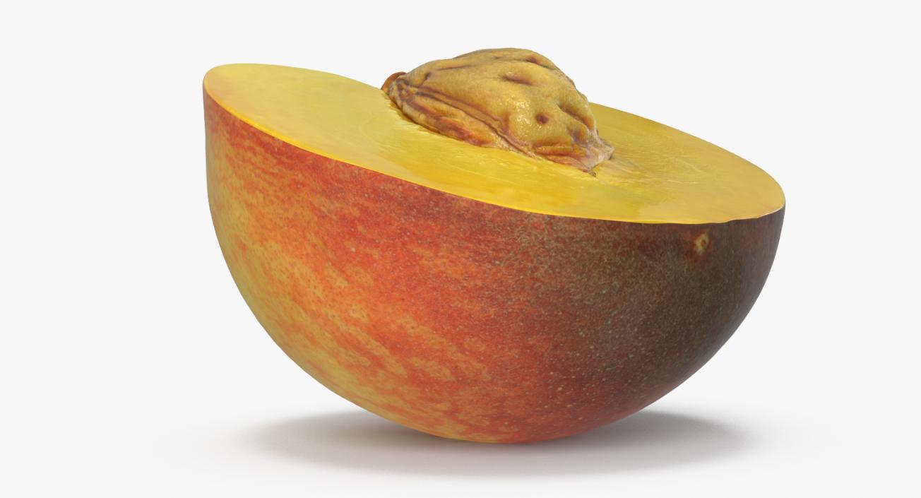 3D Half of Peach with Seed model