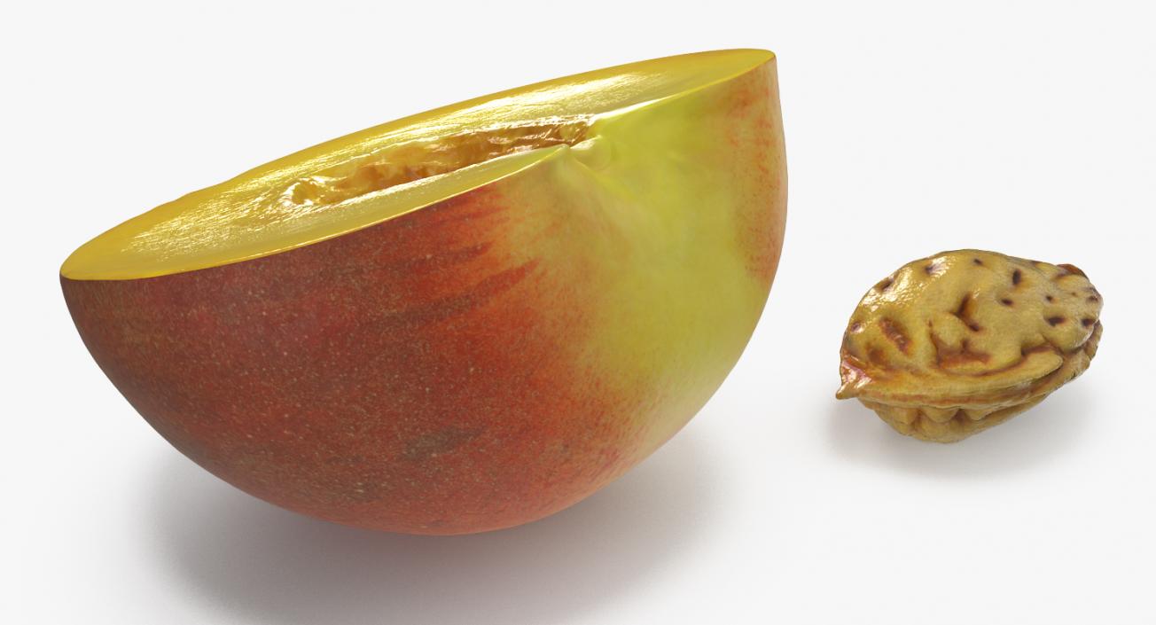 3D Half of Peach with Seed model