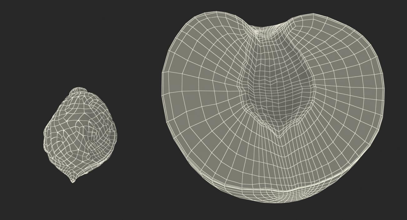 3D Half of Peach with Seed model