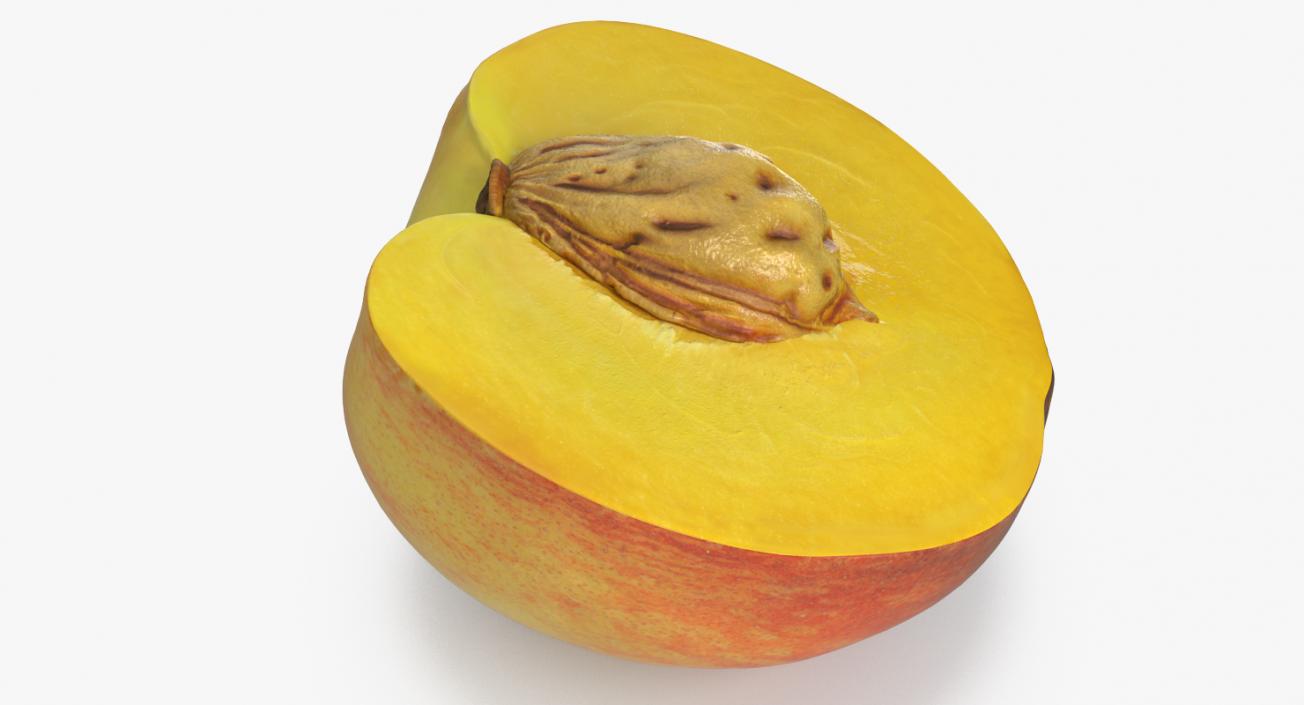 3D Half of Peach with Seed model