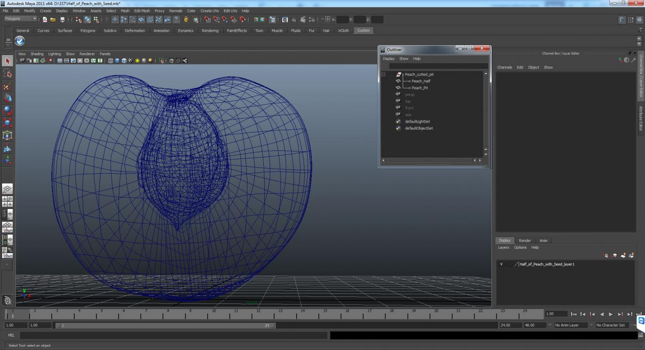 3D Half of Peach with Seed model