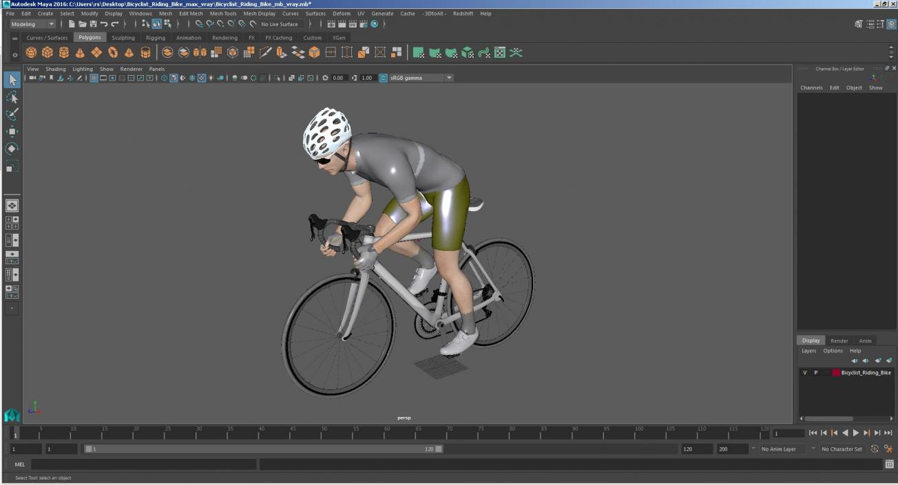 3D Bicyclist Riding Bike