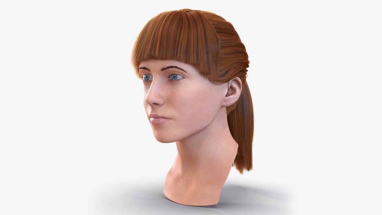 3D model Female Heads Collection 2