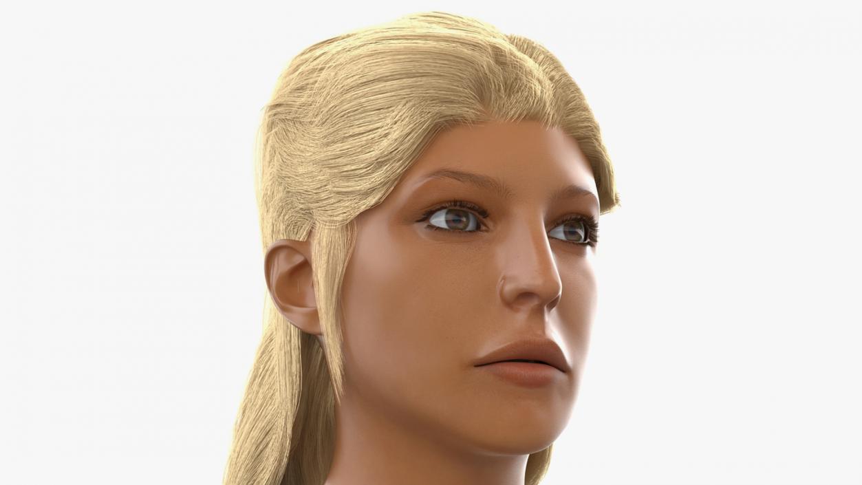 3D model Female Heads Collection 2