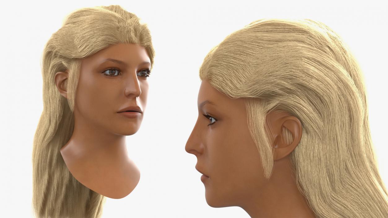 3D model Female Heads Collection 2