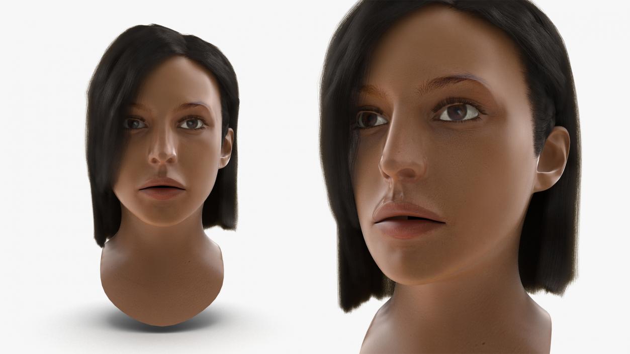 3D model Female Heads Collection 2