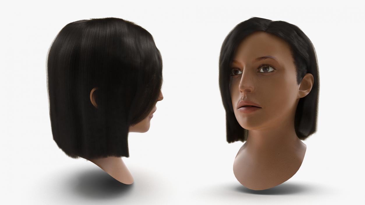 3D model Female Heads Collection 2