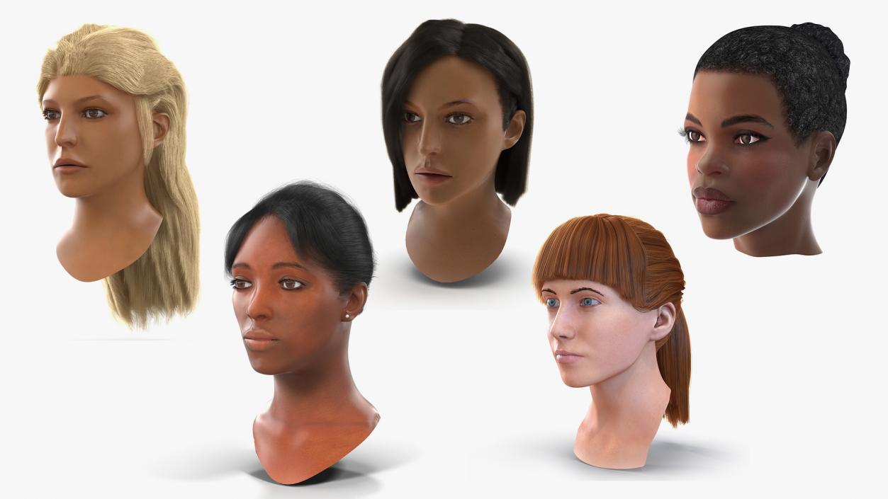 3D model Female Heads Collection 2