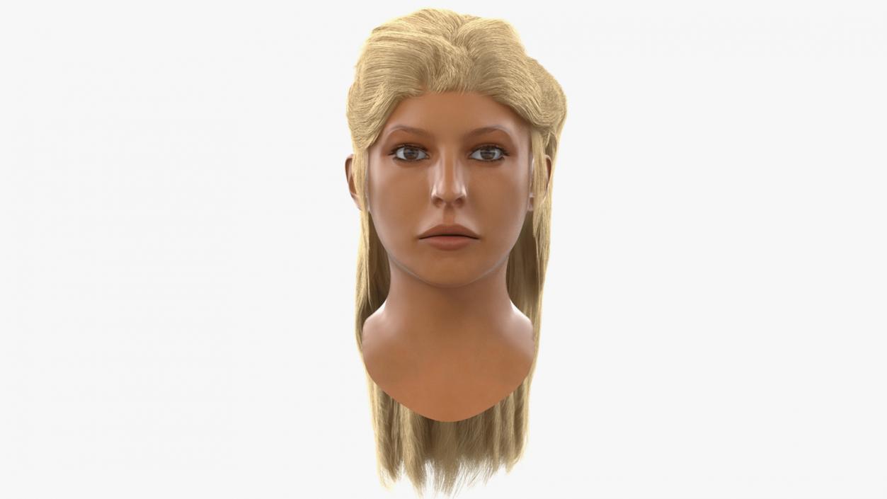 3D model Female Heads Collection 2