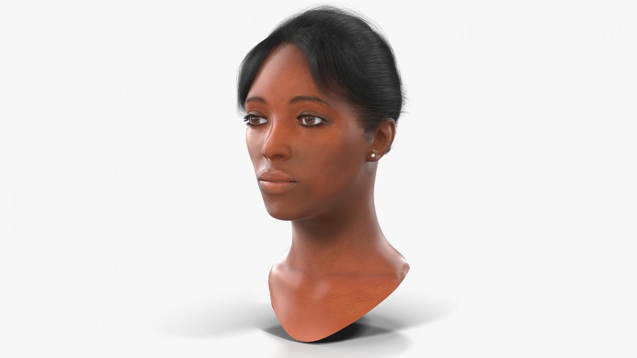 3D model Female Heads Collection 2