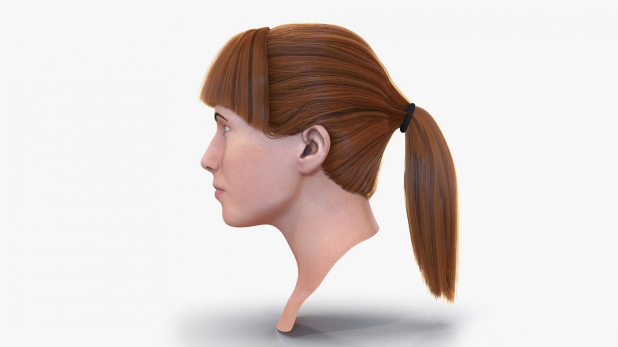 3D model Female Heads Collection 2