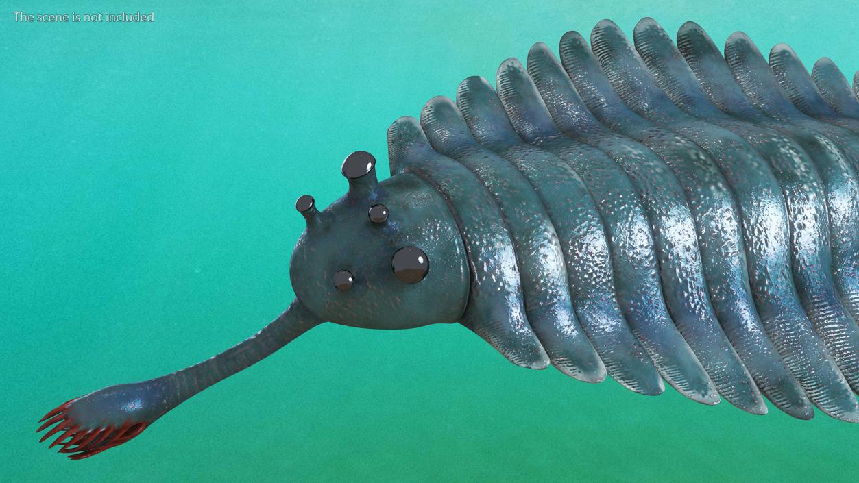 Green Opabinia 3D model