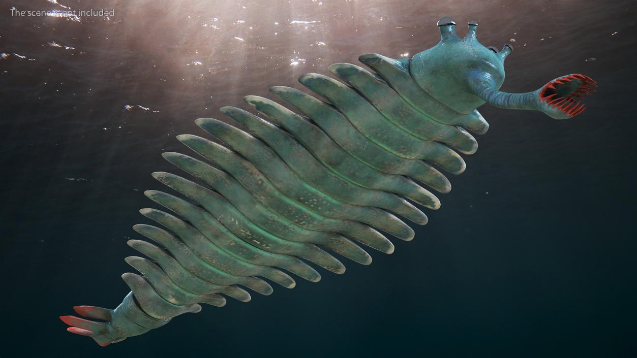 Green Opabinia 3D model