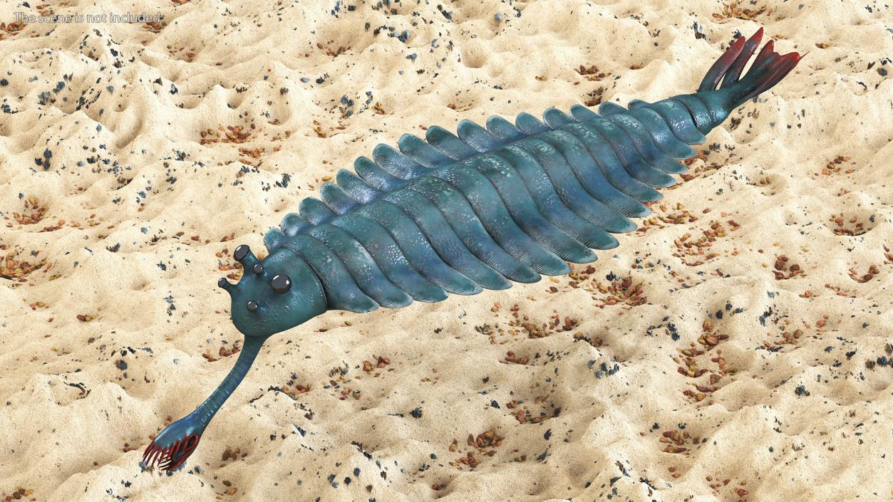 Green Opabinia 3D model