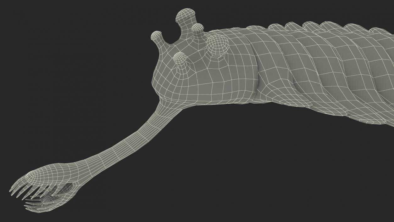 Green Opabinia 3D model