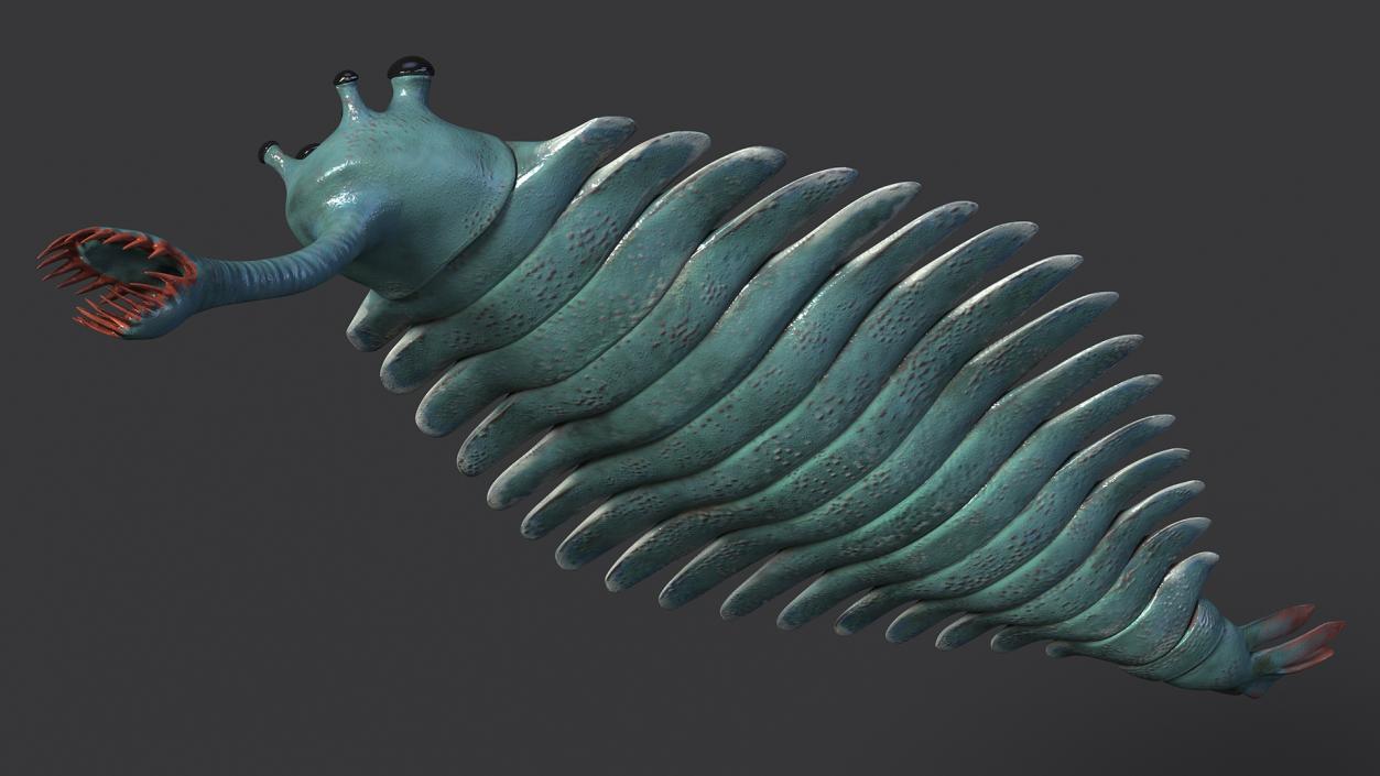 Green Opabinia 3D model