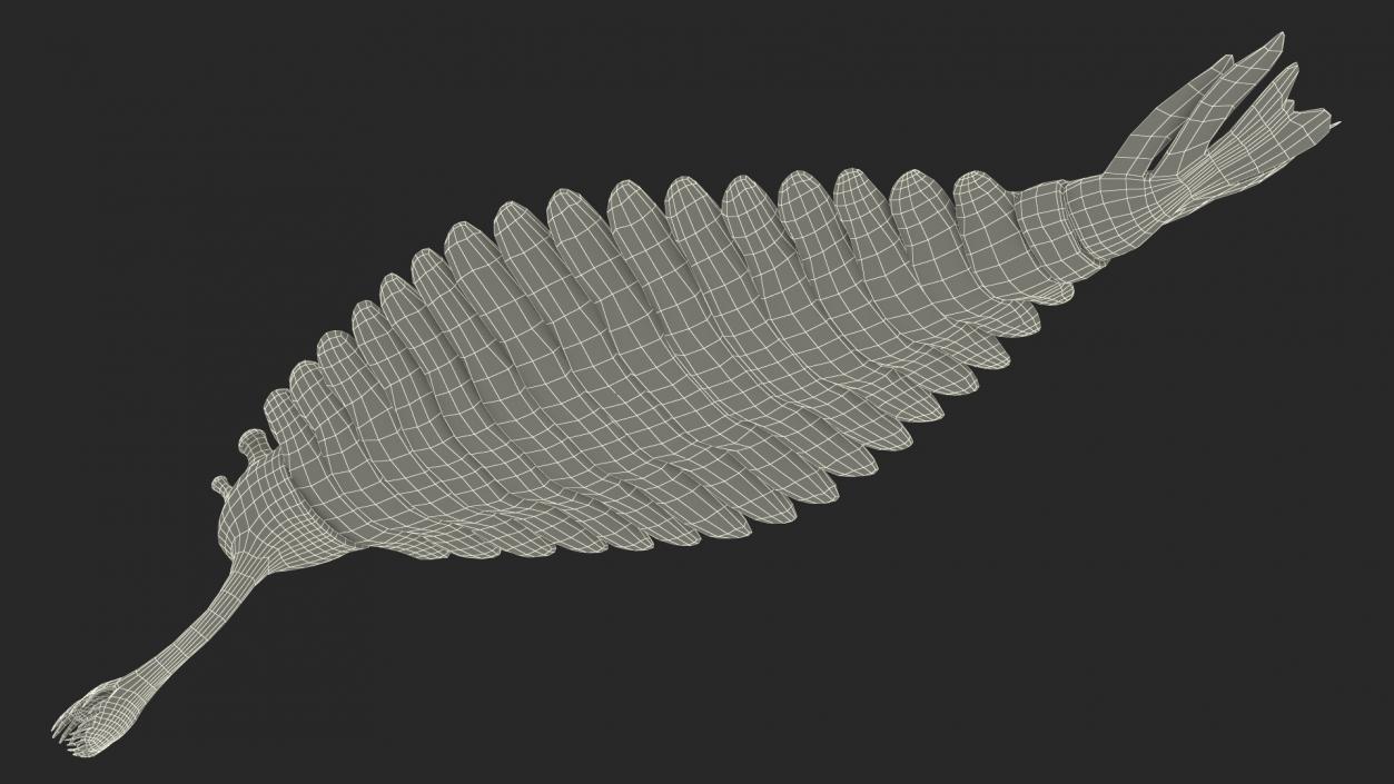 Green Opabinia 3D model