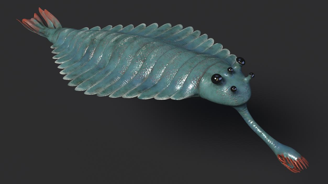 Green Opabinia 3D model