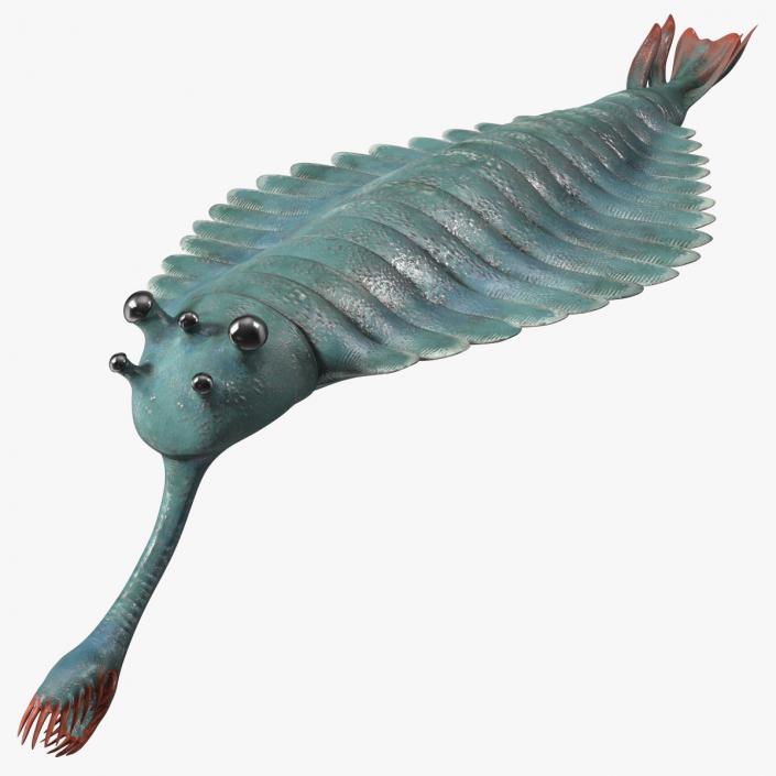 Green Opabinia 3D model