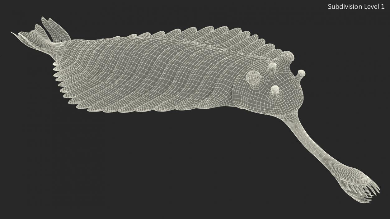 Green Opabinia 3D model