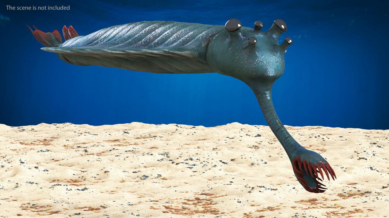 Green Opabinia 3D model