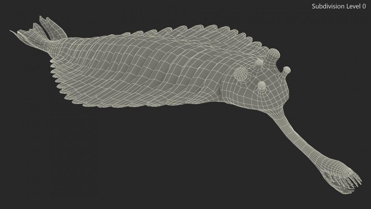 Green Opabinia 3D model