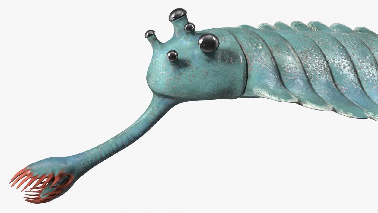 Green Opabinia 3D model