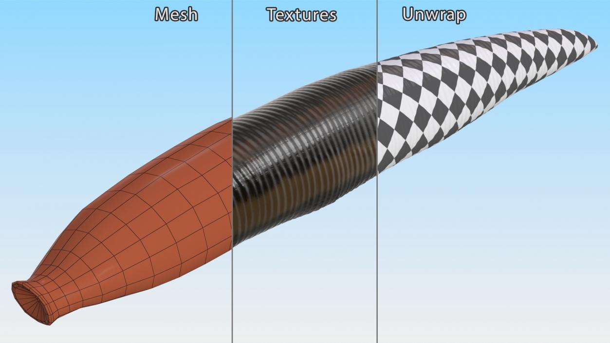 Hirudo Medicinalis Rigged for Maya 3D model