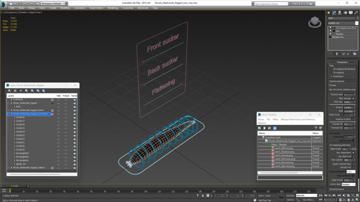 Hirudo Medicinalis Rigged for Maya 3D model