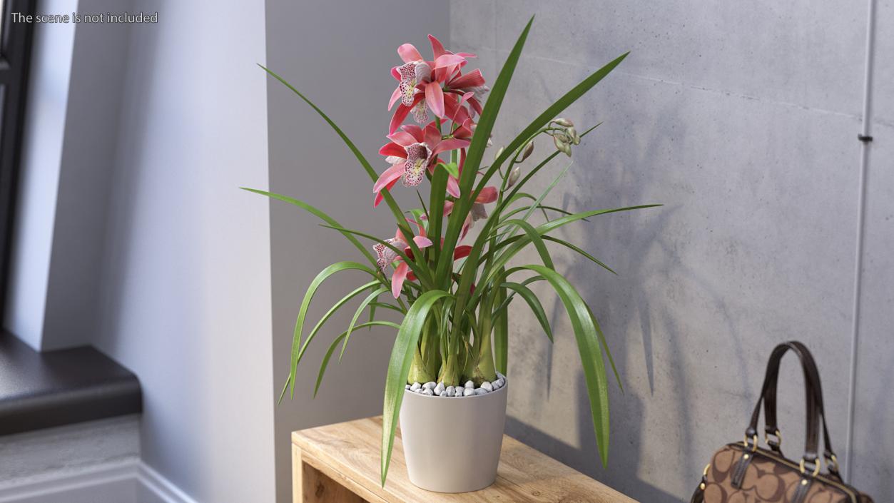 3D Pink Orchid Flower Pot Fur