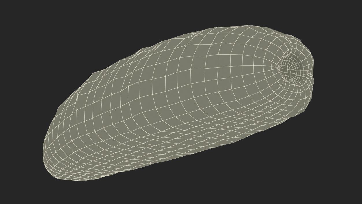 3D Sea Cucumber Red Rigged model