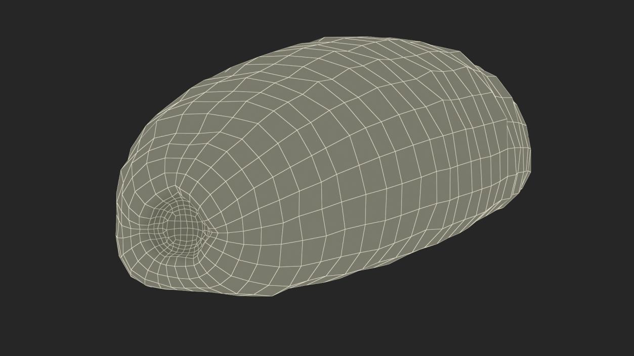 3D Sea Cucumber Red Rigged model