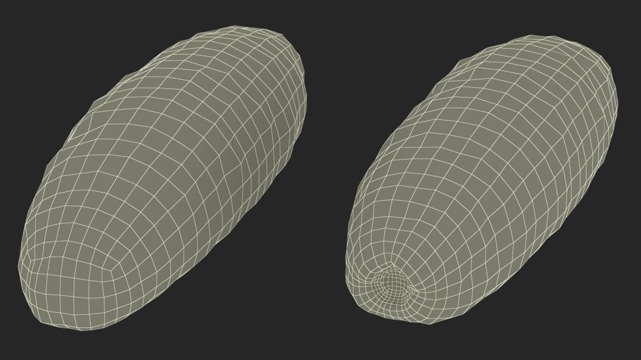 3D Sea Cucumber Red Rigged model