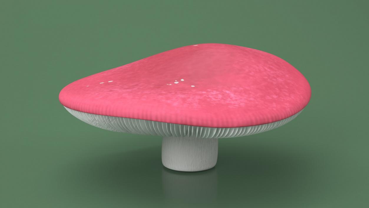 Edible Mushrooms Collection 4 3D model