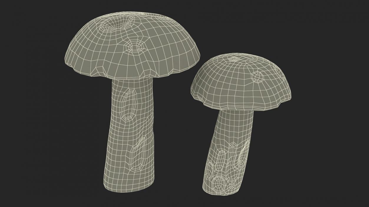 Edible Mushrooms Collection 4 3D model