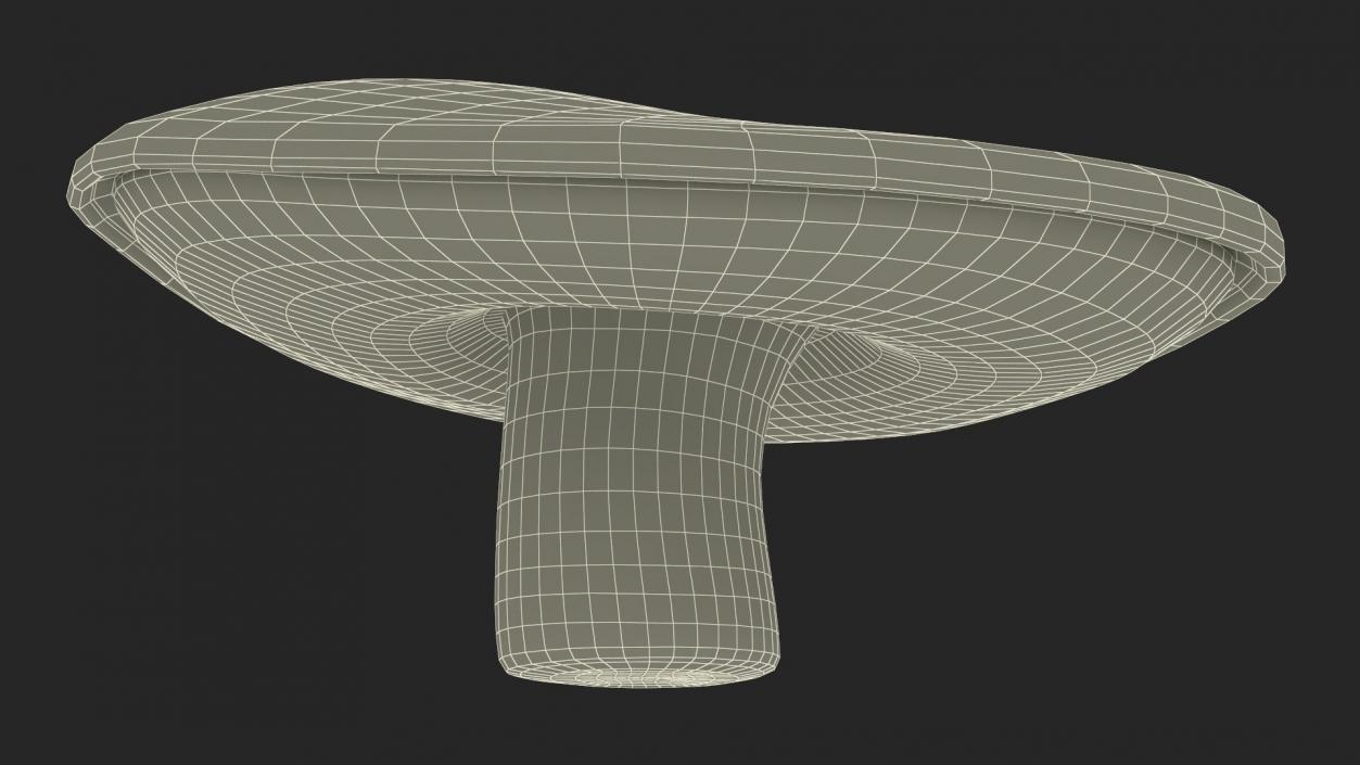 Edible Mushrooms Collection 4 3D model