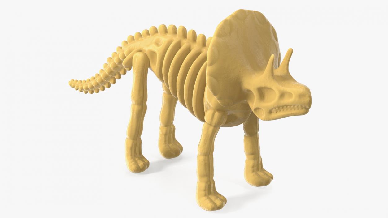 3D Triceratops Dinosaur Skeleton Toy model