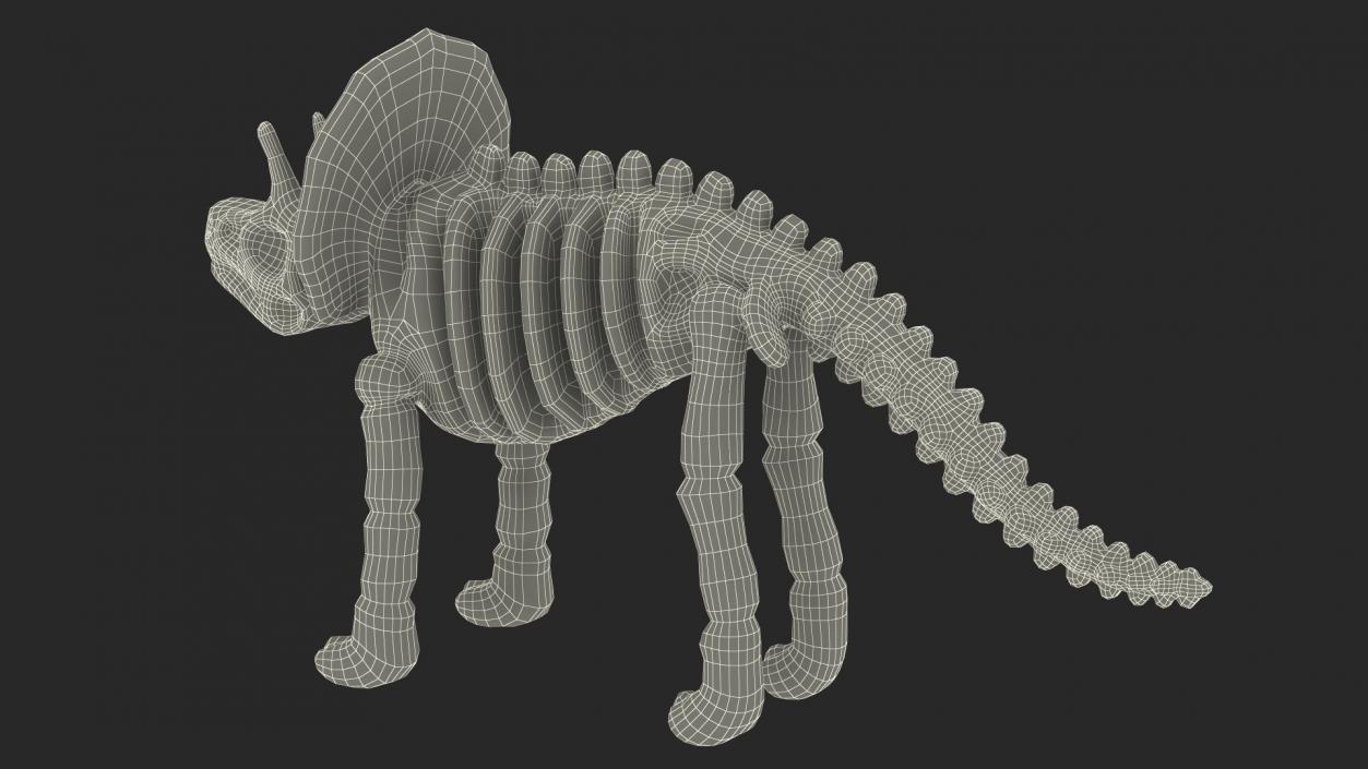 3D Triceratops Dinosaur Skeleton Toy model