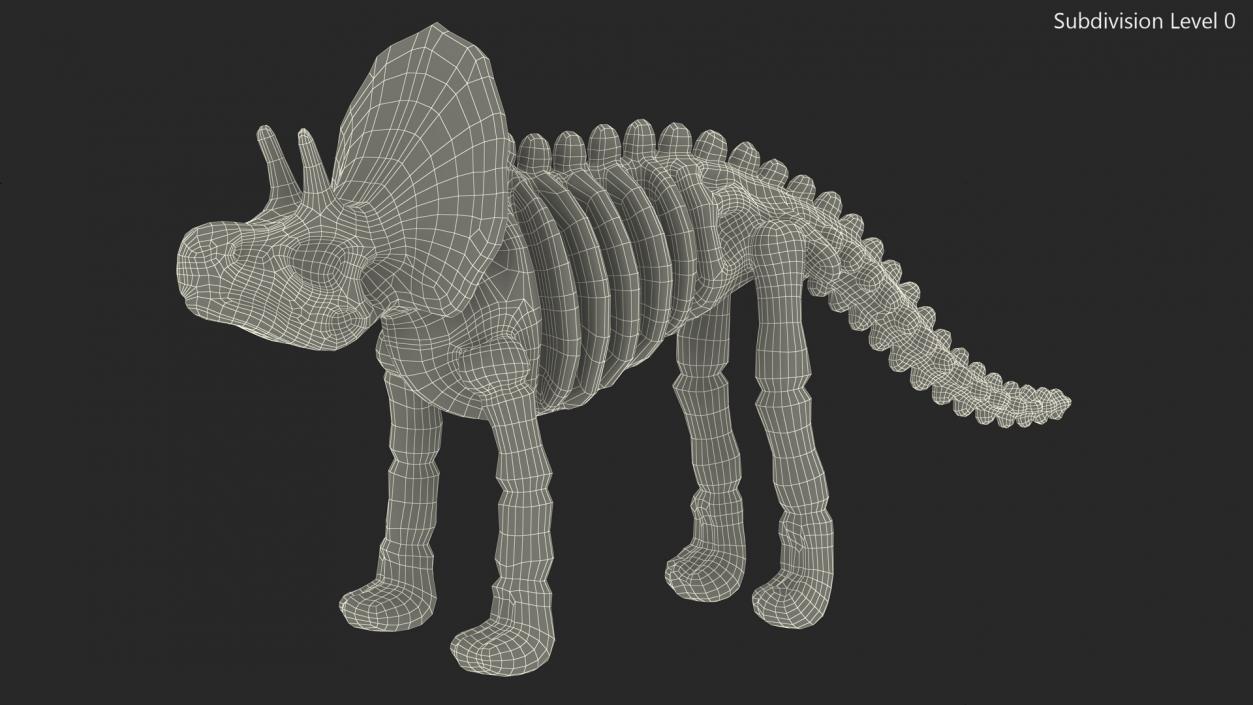 3D Triceratops Dinosaur Skeleton Toy model